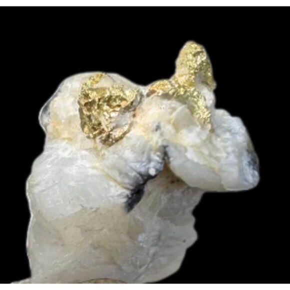 Gold on Quartz - Natural California Gold Specimen in Perky Display Box - #1 - Picture 1 of 6